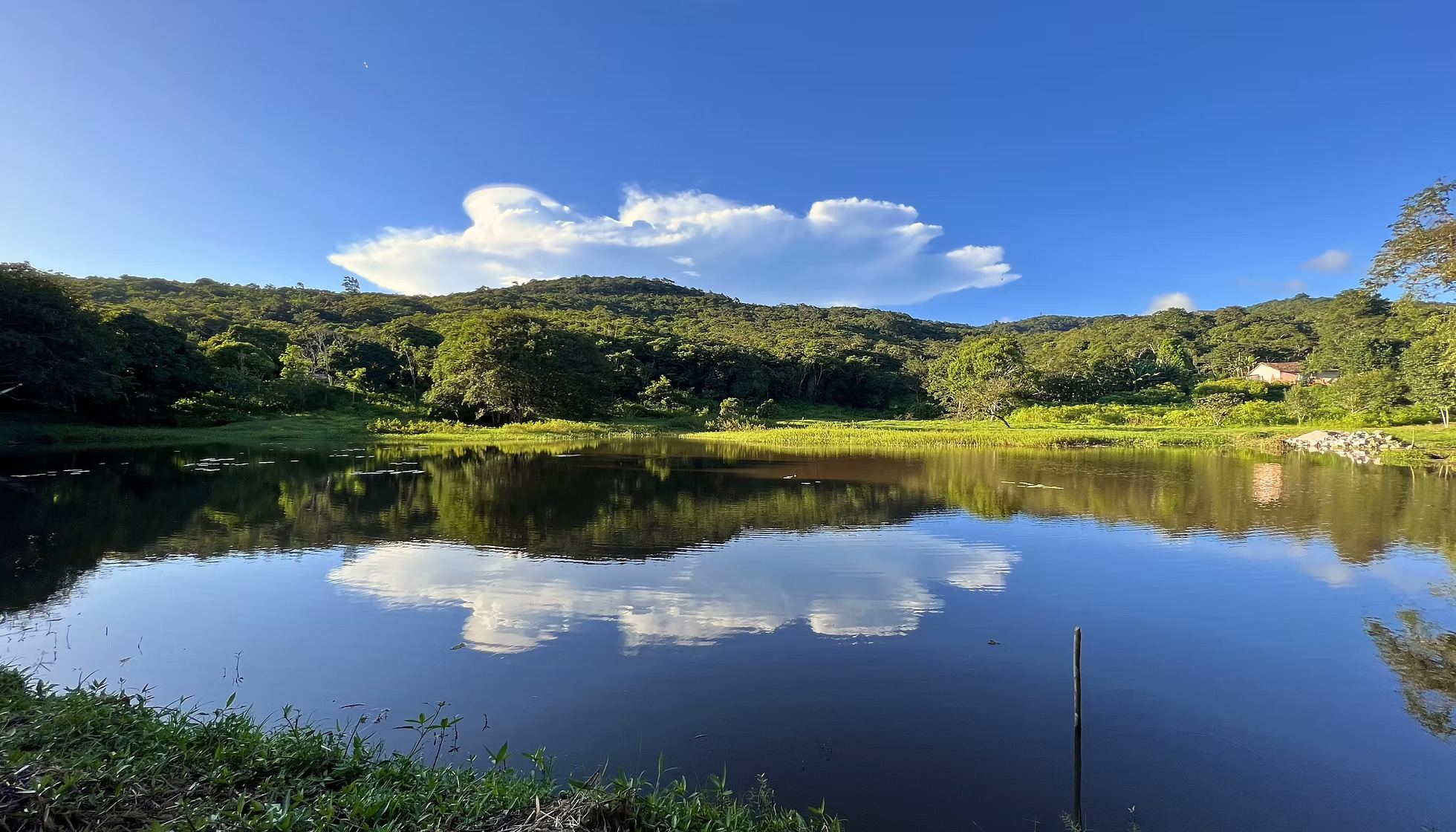El lago del dominio